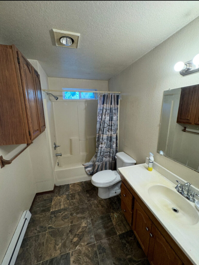 Before bathroom remodel